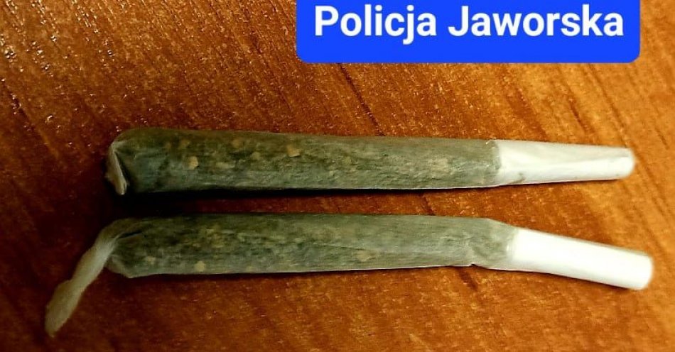 zdjęcie: 21-latek wpadł z narkotykami / fot. KPP w Jaworze
