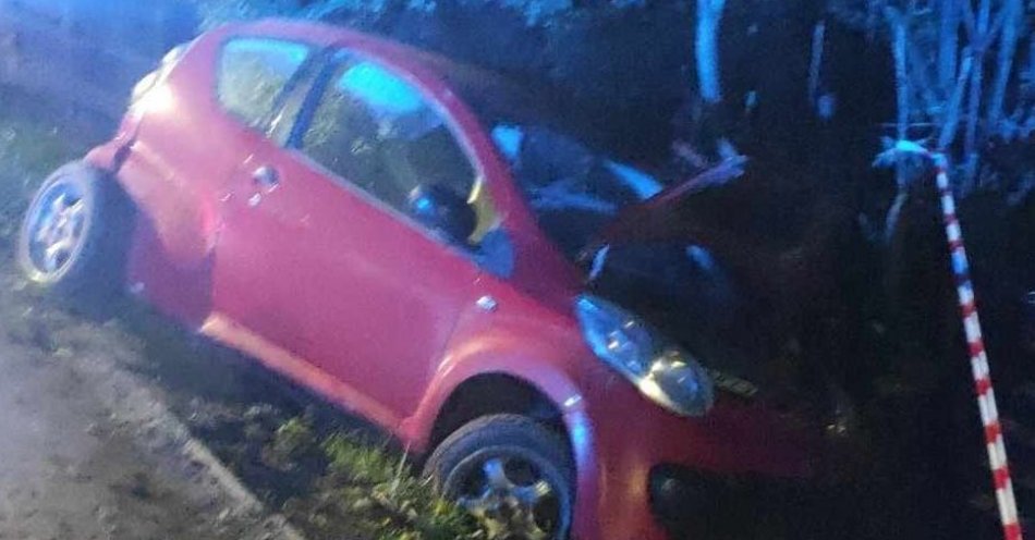 zdjęcie: 16-latek stracił panowanie nad kierownicą i wjechał do rowu / fot. KPP Puławy