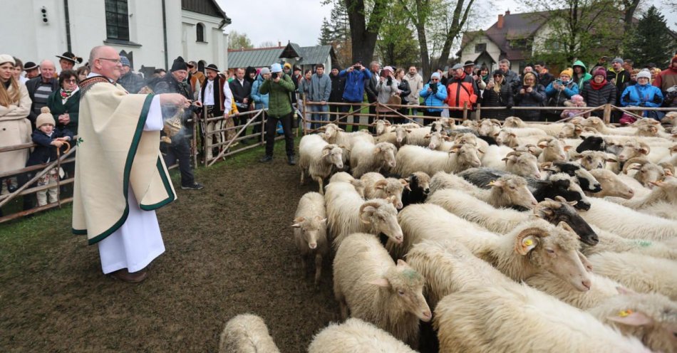 zdjęcie: Bacowie uroczyście rozpoczęli sezon pasterski w Ludźmierzu / fot. PAP