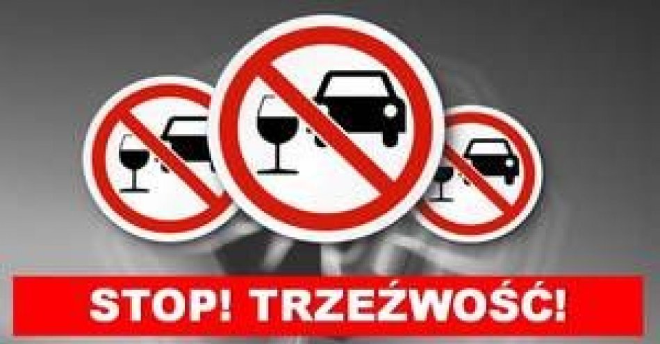 zdjęcie: Kierowała autem mając prawie 2 promile alkoholu w organizmie, jej podróż zakończyli małkińscy policjanci / fot. KPP w Ostrowi Mazowieckiej