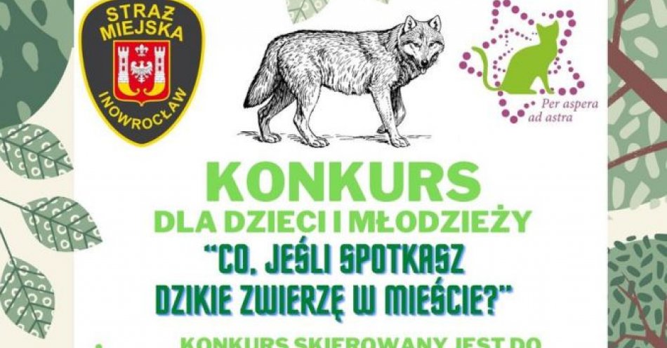 zdjęcie: Konkurs Co, jeśli spotkasz dzikie zwierzę w mieście? / fot. KPP Inowrocław