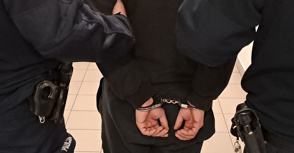 zdjęcie: Tymczasowy areszt dla mężczyzny znęcającego się nad matką / fot. KPP Ryki