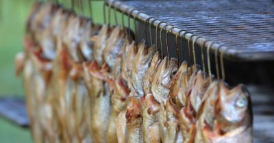 Na tradycyjnym Święcie Siei nad jeziorem Wigry można spróbować tradycyjnych przysmaków