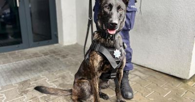 Bruno nowym czworonożnym funkcjonariuszem w Białogardzie