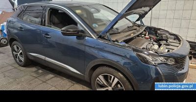 Lubin: wielka akcja policji przeciwko narkotykom i paserstwu