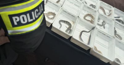 Nielegalny handel chronionymi zwierzętami ujawniono w Lublinie