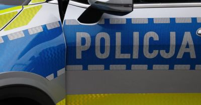 Mieszkaniec Częstochowy z zarzutem za przetrzymywanie niedźwiedzia