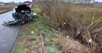 Młody kierowca Audi uderzył w drzewo w Cześnikach