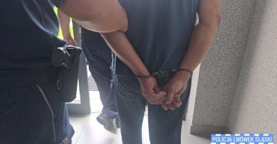 Akcja Poszukiwany 11 osób zatrzymanych w powiecie lwóweckim