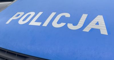 Zatrzymano sprawcę kradzieży miedzianych rynien z Pałacu Dąbskich