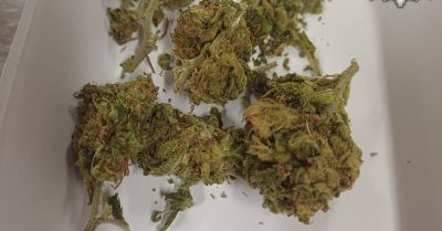 Pięć osób zatrzymanych za narkotyki. Nieletni z marihuaną