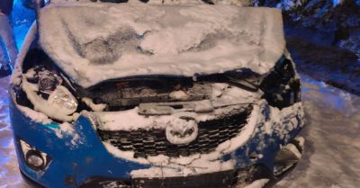 Śnieg złamał drzewa i przewrócił je na przejeżdżające auta