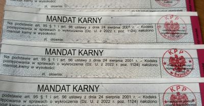 Sejny: 4 mandaty dla właścicieli za nieostrożne trzymanie psów