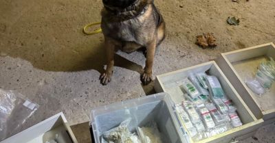 Duże zatrzymanie w Zgierzu: ponad kilogram narkotyków