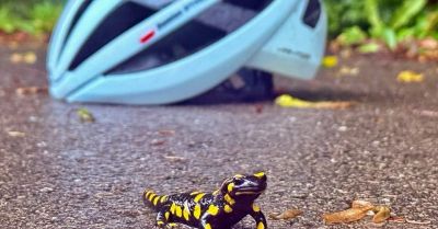 Mławski policjant z nagrodą w ogólnopolskim konkursie fotograficznym