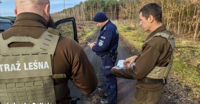 Patrole Policji i Straży Leśnej chronią lasy przed nielegalną wycinką