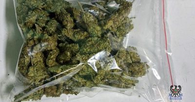 Trzech zatrzymanych za kierowanie pomimo sądowych zakazów