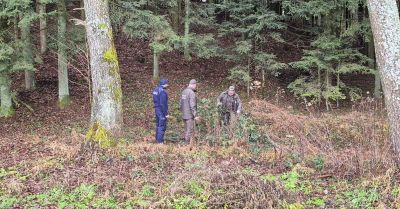 Policja i straż leśna w Łańcucie przeciw nielegalnym choinkom