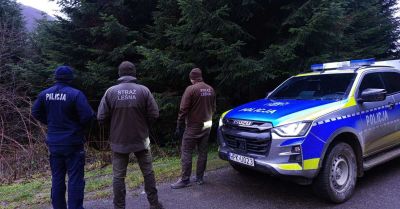 Policja i Straż Leśna chronią lasy w akcji Choinka 2025