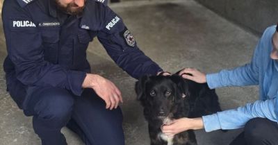 Policjanci wsparli schronisko pełne kotów i psów