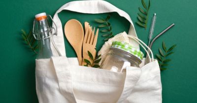 Dzielnie - nowe miejsca wymiany i ekologicznej edukacji w Warszawie