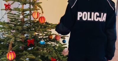 Nielegalna choinka grozi mandatem i karą więzienia