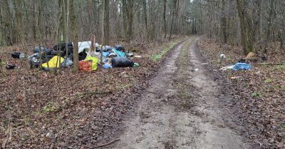 Mandat i obowiązek sprzątania za wywóz śmieci do lasu