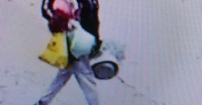 Zniszczono kilkanaście nagrobków na cmentarzu w Starachowicach