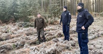 Policja i Straż Leśna sprawdzają sprzedaż choinek