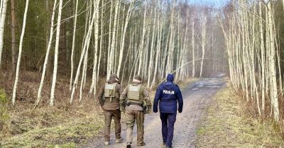 Pilne kontrole lasów w Mysłowicach przed świętami