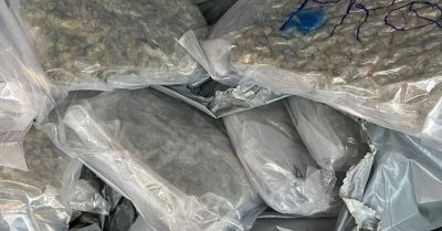 Kierowca zatrzymany z 10 kg marihuany wartą prawie pół miliona