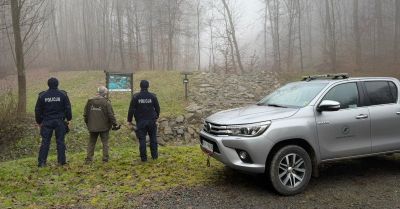 Policja i Straż Leśna walczą z kradzieżami w lasach