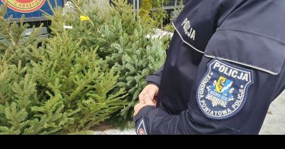 Święta bezpieczne: rady policji przed zakupami i podróżą