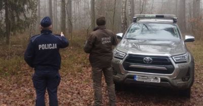 Policja i Straż Leśna kontrolują wycinkę choinek