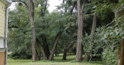 Majowe Serce Miasta 2026: dwa dni koncertów w Aleksandrowie Kujawskim