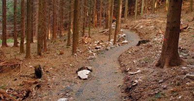 Wschowa: Podpisano umowę na ścieżkę rowerową do Starych Drzewiec