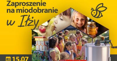 Miodobranie z Uli z Recyklingu