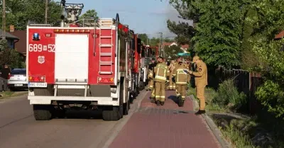 Świętokrzyskie: 13 ha lasów i nieużytków spłonęło w powiecie jędrzejowskim