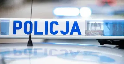 Mazowieckie: policja szuka sprawcy, który w Ciechanowie okaleczył trzy szczenięta