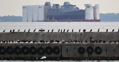 Gdynia: rozpoczęło się wodowanie fregaty ORP „Wicher”
